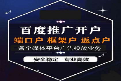 百度竞价托管运营成功案例解析